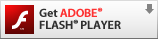 flash player Bild föreställande: flash player